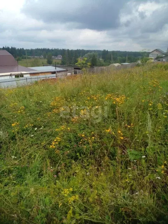 участок в пермский край, октябрьский городской округ, сарс рп ул. . - Фото 0