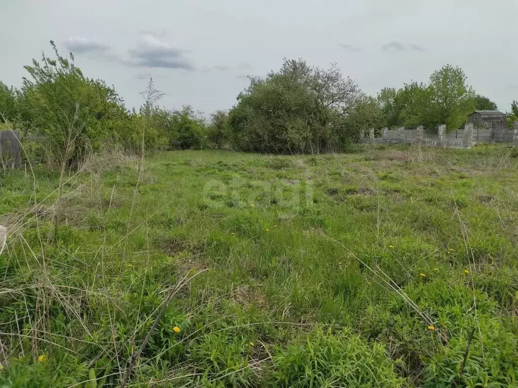 Участок в Брянская область, Брянский район, Снежское с/пос, пос. ... - Фото 1