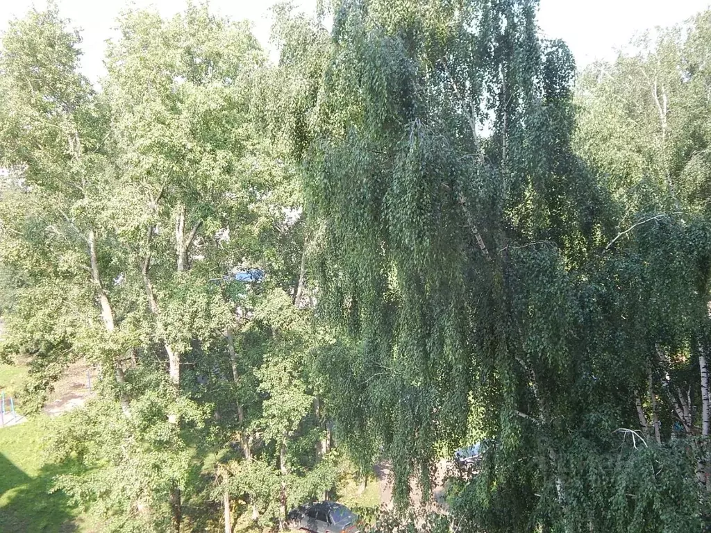 1-к кв. Удмуртия, Ижевск Строитель жилрайон, Городок Строителей мкр, ... - Фото 2