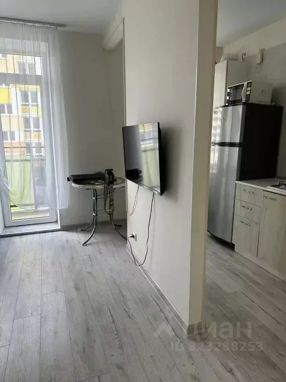 Студия Калининградская область, Светлогорск ул. Молодежная, 19 (25.0 ... - Фото 1