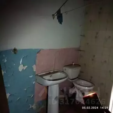 Помещение свободного назначения в Забайкальский край, Шилка ул. ... - Фото 1