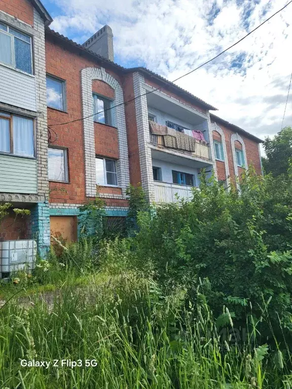 Помещение свободного назначения в Нижегородская область, Богородский ... - Фото 2