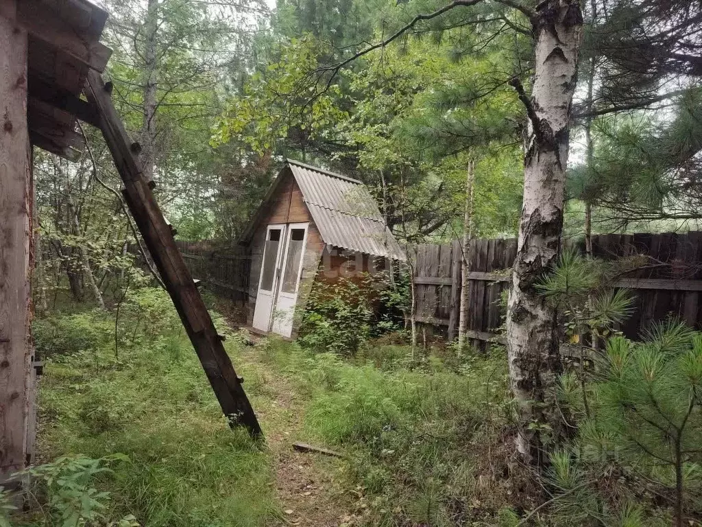 Дом в Бурятия, Кабанский район, пос. При станции Боярский ул. ... - Фото 1