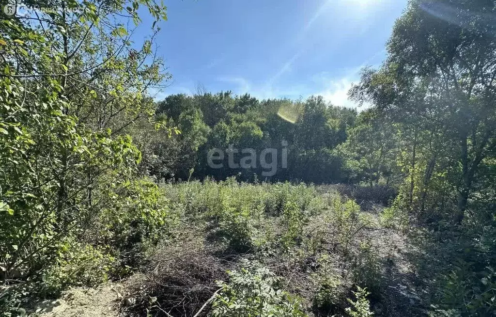 Участок в Краснодарский край, городской округ Новороссийск, хутор ... - Фото 0