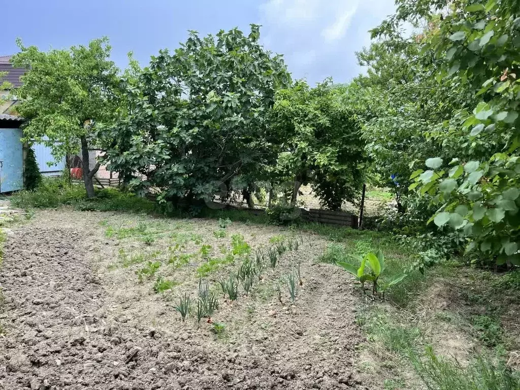 Дом в Краснодарский край, Геленджик городской округ, с. ... - Фото 2