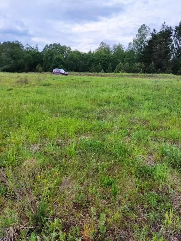 Участок в Новгородская область, Валдайский район, Едровское с/пос, с. ... - Фото 2