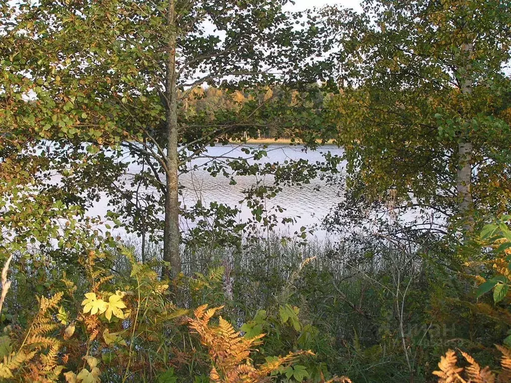 Дом в Ленинградская область, Приозерский район, Раздольевское с/пос, ... - Фото 2