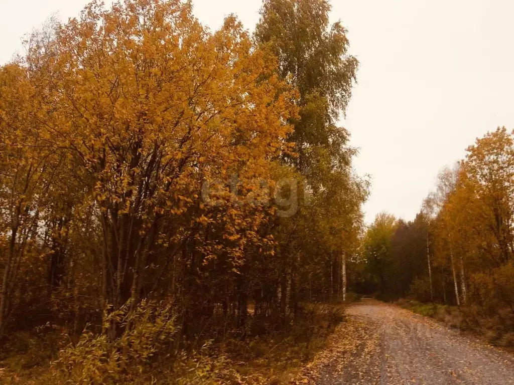 Участок в Вологодская область, Череповец ул. Лунная (800.0 сот.) - Фото 0