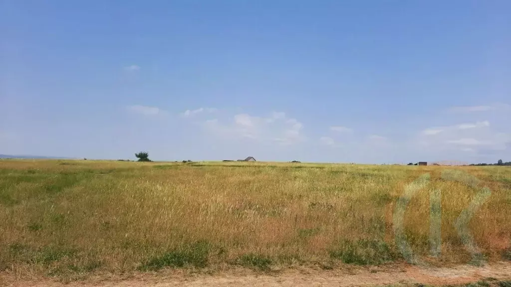 Участок в Крым, Симферопольский район, с. Чистенькое  (130.0 сот.) - Фото 1