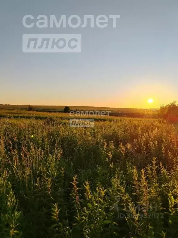 участок в владимирская область, суздальский район, павловское . - Фото 0