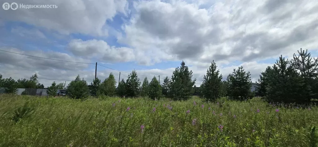 Участок в Челябинская область, Аргаяшский муниципальный округ, деревня ... - Фото 2