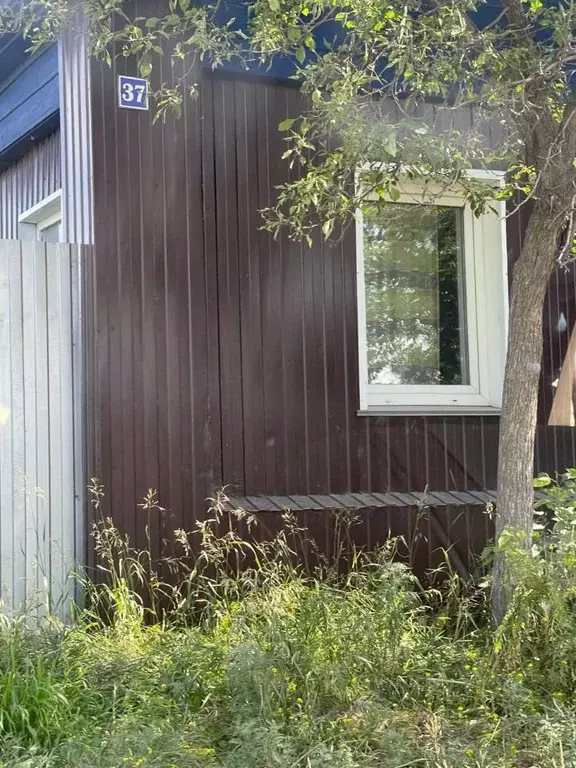 Дом в Омская область, Любинский район, с. Китайлы ул. Труда (33 м) - Фото 1