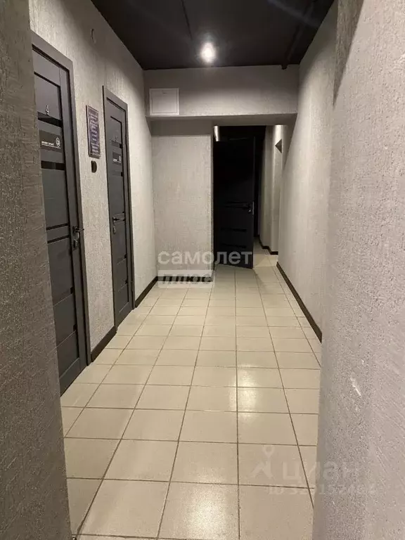 Офис в Иркутская область, Иркутск ул. Ядринцева, 29/2 (13 м) - Фото 2