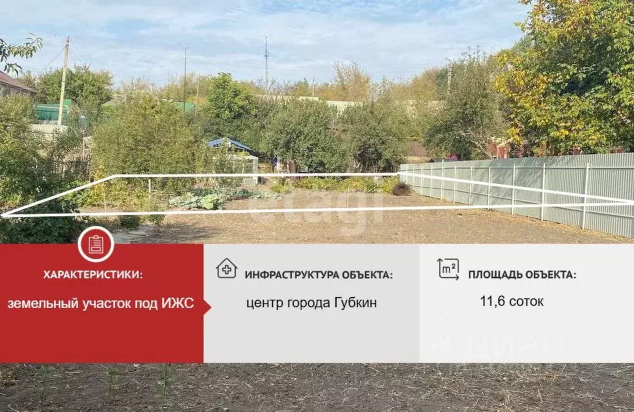 Участок в Белгородская область, Губкин Логовая ул. (11.6 сот.) - Фото 1