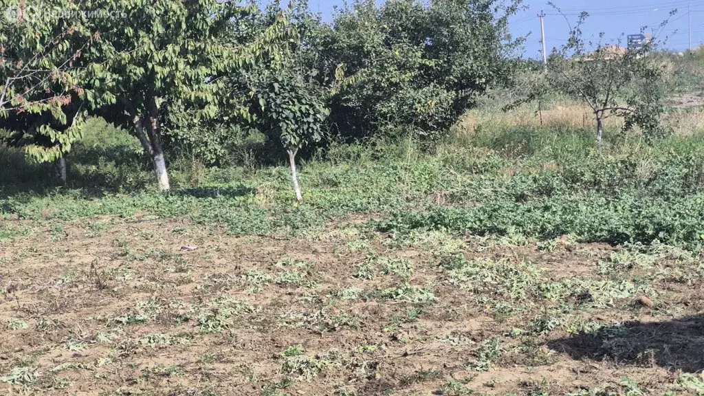 Участок в Дербент, улица М. Физули (4 м) - Фото 1