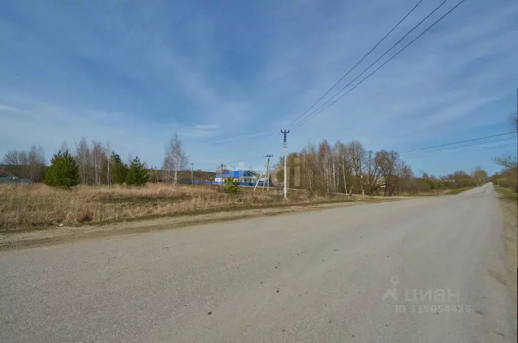 Участок в Пензенская область, Бессоновский район, с. Сосновка ... - Фото 1