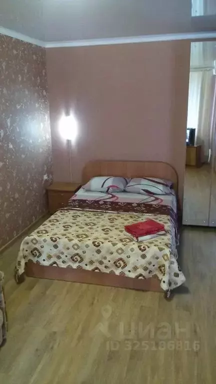 1-к кв. Забайкальский край, Чита ул. Нечаева, 33 (33.0 м) - Фото 2