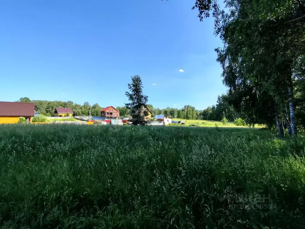 участок в новосибирская область, новосибирский район, раздольненский . - Фото 1