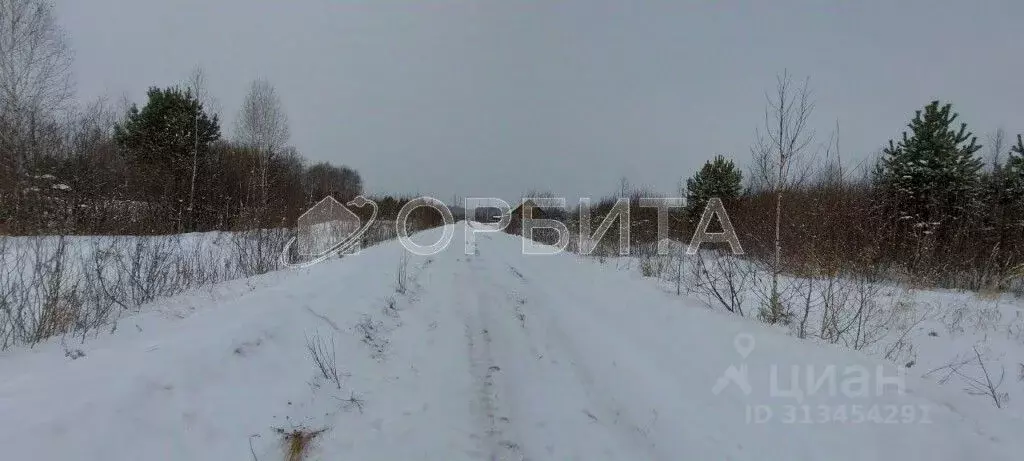 Участок в Тюменская область, Нижнетавдинский район, Строитель ТСН  ... - Фото 1