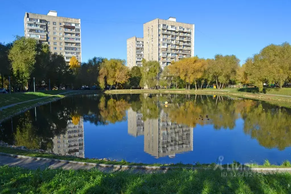 Комната Москва Мичуринский просп., 46 (16.0 м) - Фото 0