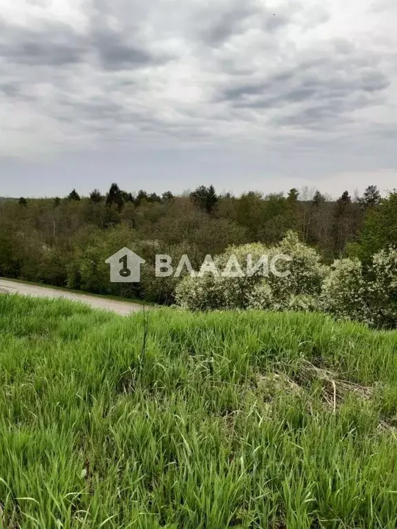 Участок в Ленинградская область, Всеволожский район, Куйвозовское ... - Фото 2