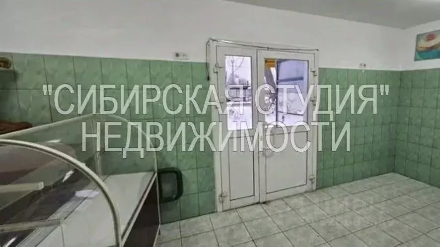 Помещение свободного назначения в Новосибирская область, Новосибирск ... - Фото 1