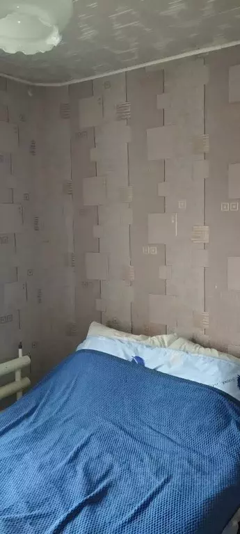 3-к кв. Курганская область, Кетовский муниципальный округ, с. Новая ... - Фото 1