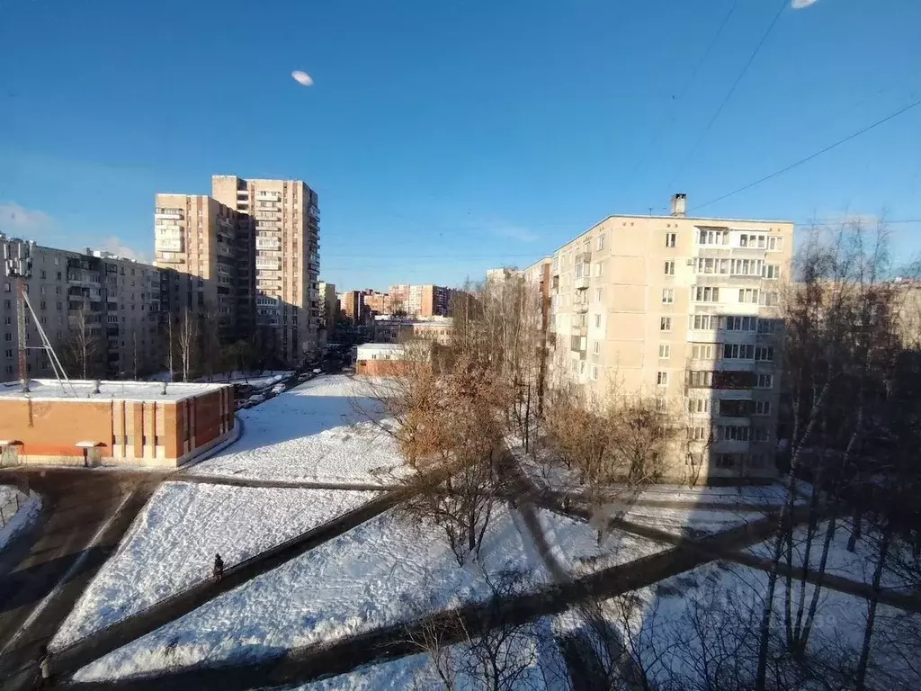 2-к кв. Санкт-Петербург Петергофское ш., 3К6 (55.0 м) - Фото 2