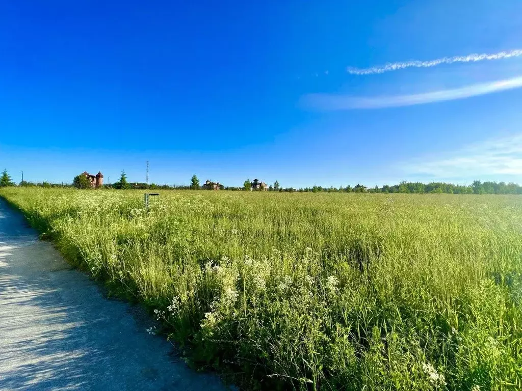 Участок в Тверская область, Конаковский муниципальный округ, д. ... - Фото 1