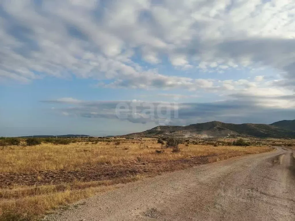 Участок в Крым, Кировский район, Абрикосовское с/пос, с. Кринички ул. ... - Фото 1