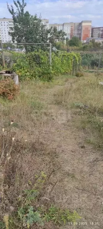 Участок в Саратовская область, Саратов Маслозавод-1 СНТ, 27 (6.0 сот.) - Фото 2