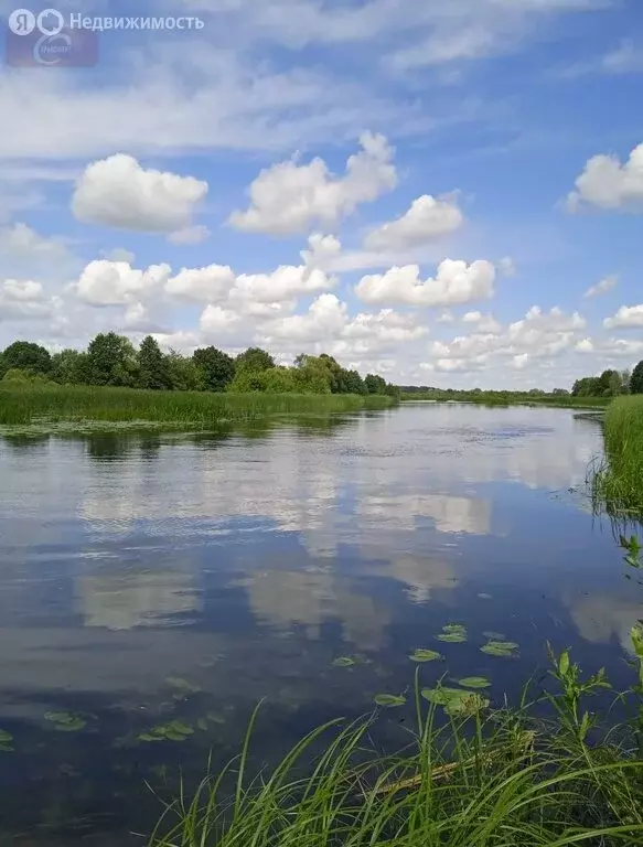 Участок в Рамонский район, Ступинское сельское поселение, село Нелжа ... - Фото 0