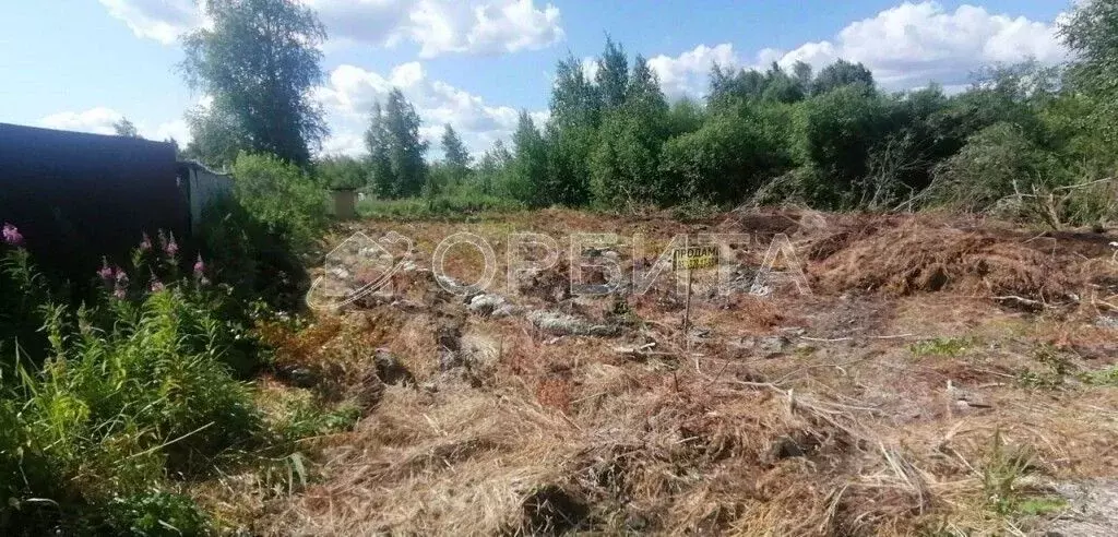 Участок в Тюменская область, Нижнетавдинский район, Сочинское ДНТ ул. ... - Фото 1