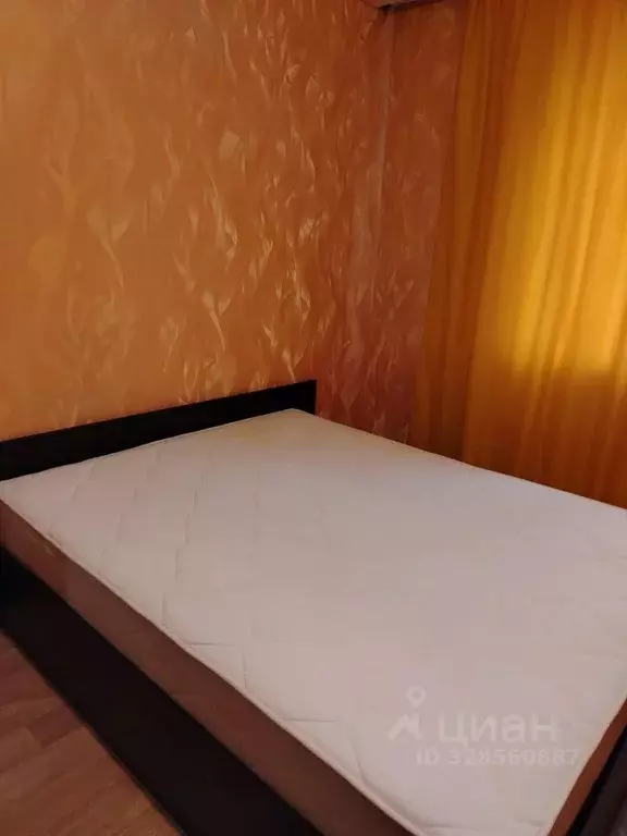 1-к кв. Пензенская область, Пензенский район, Засечный сельсовет, с. ... - Фото 1