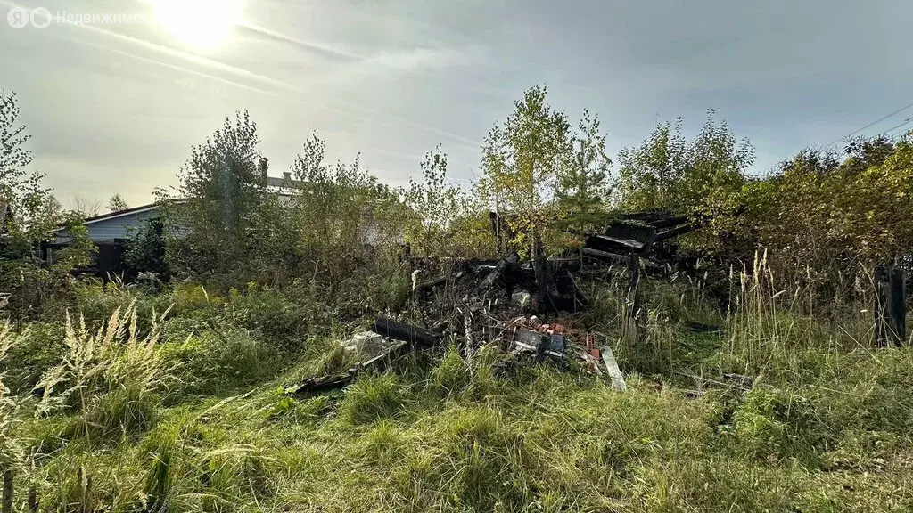 Участок в Нижегородская область, Бор (5 м) - Фото 1