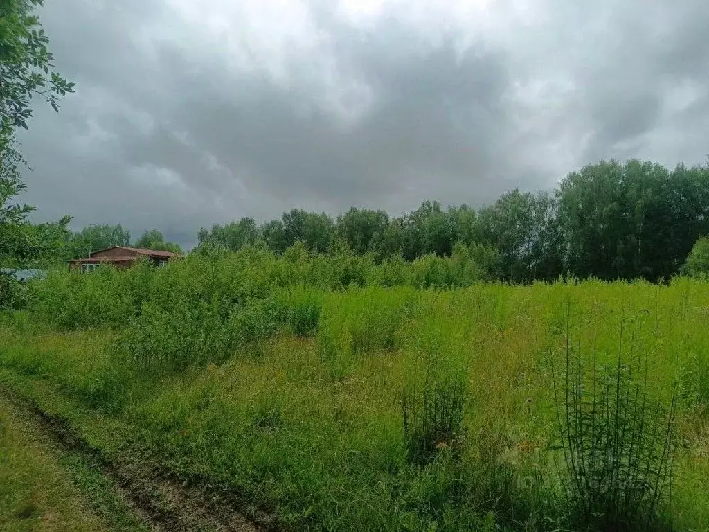 Участок в Нижегородская область, Городецкий муниципальный округ, д. ... - Фото 0