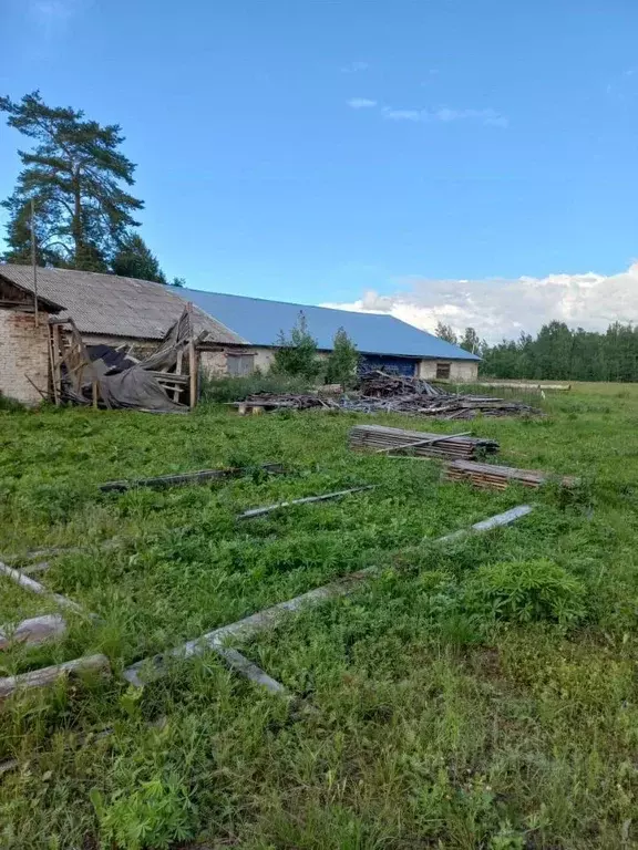 Помещение свободного назначения в Псковская область, Пустошкинский ... - Фото 0