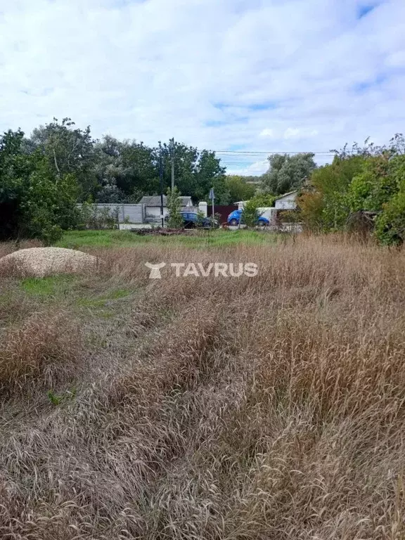 Участок в Крым, Симферопольский район, с. Мазанка ул. Садовая (6.3 ... - Фото 1