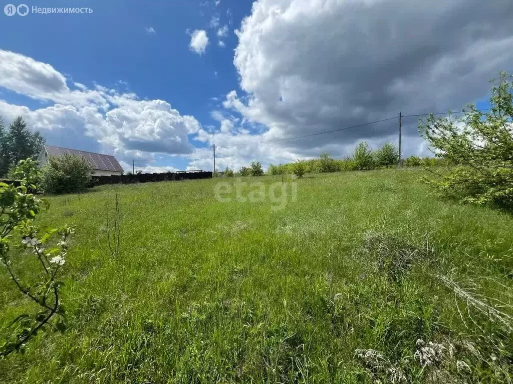 Участок в Рамонский район, село Русская Гвоздёвка, Луговая улица (10 ... - Фото 1