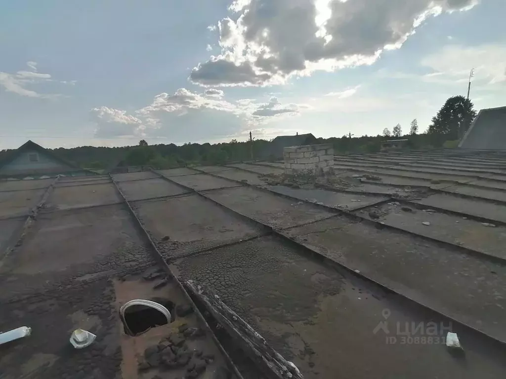 Торговая площадь в Новгородская область, Парфинский район, ... - Фото 1