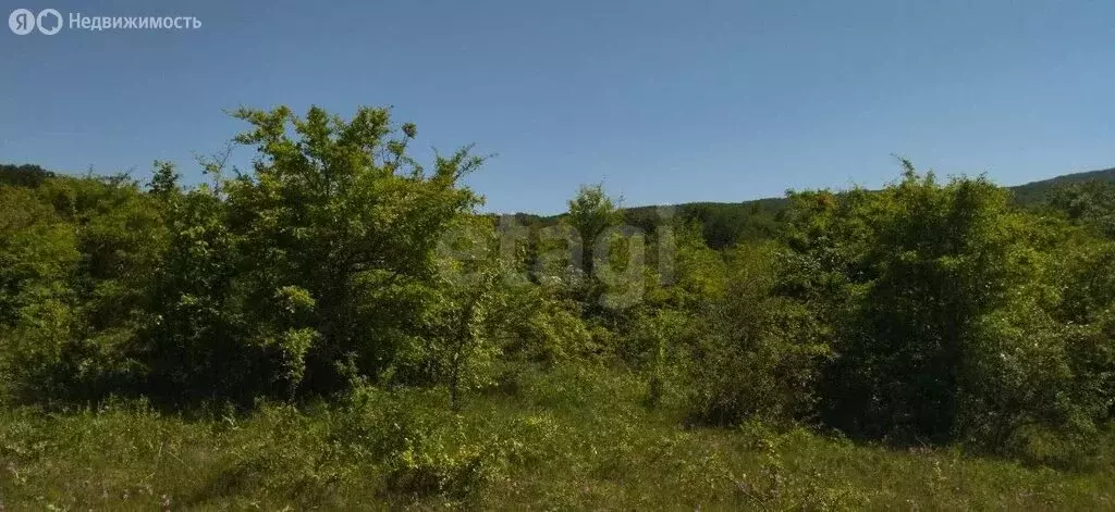 Участок в Старый Крым, улица Грина (6 м) - Фото 2