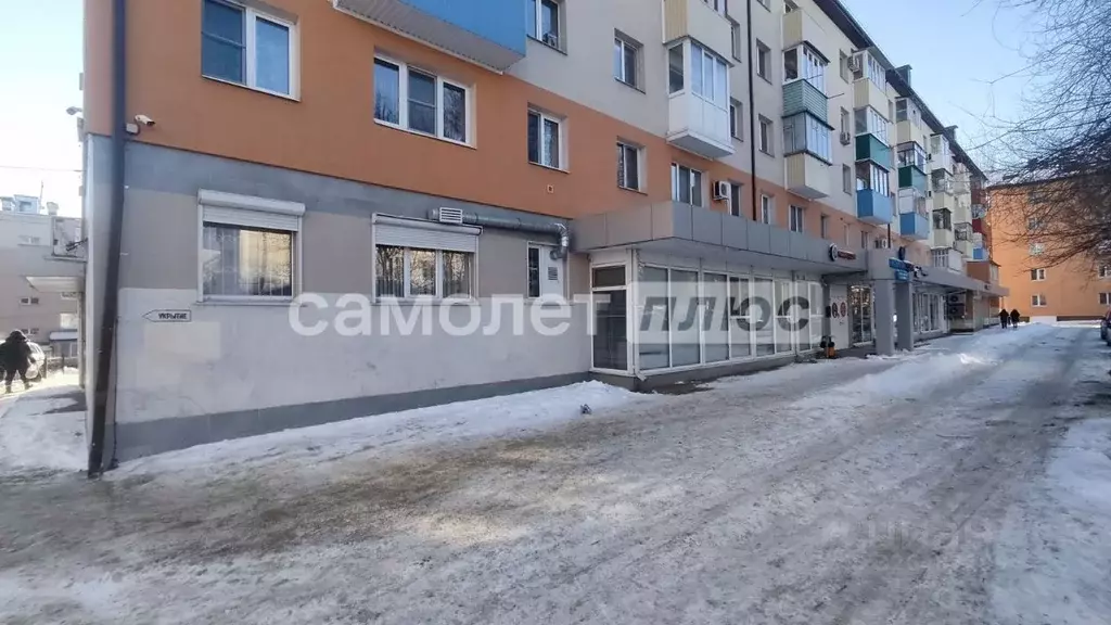 Помещение свободного назначения в Белгородская область, Белгород ул. ... - Фото 1