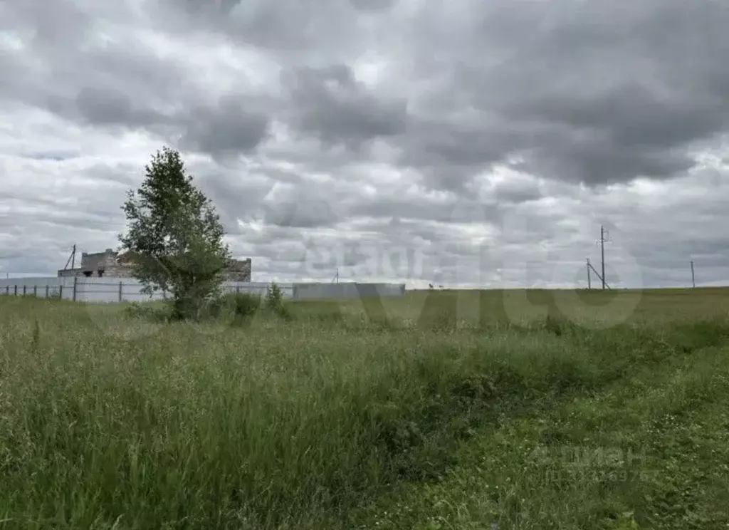 Участок в Челябинская область, Чебаркульский район, Травниковское ... - Фото 0