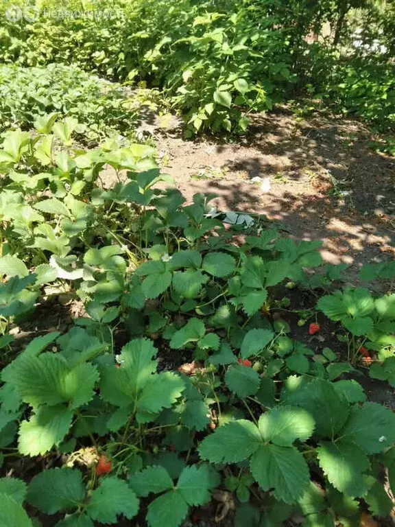 Дом в Таганрог, улица Нижняя Линия, 275 (70 м) - Фото 1