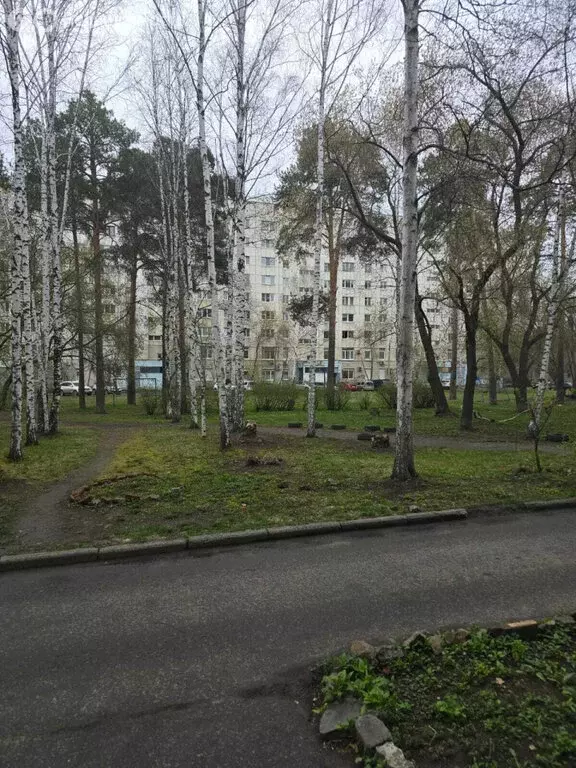 2-комнатная квартира: Екатеринбург, Белореченская улица, 24к2 (42 м) - Фото 1
