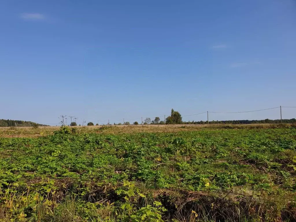 Участок в Ленинградская область, Гатчинский муниципальный округ, д. ... - Фото 2