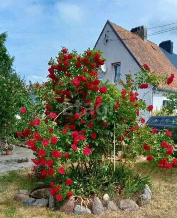 Дом в Калининградская область, Багратионовский муниципальный округ, ... - Фото 1