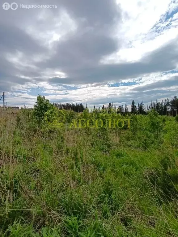 Участок в Ревда, Хвойная улица (10.5 м) - Фото 0