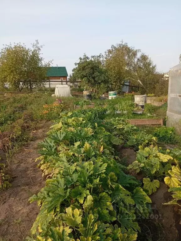 Участок в Саха (Якутия), Жатай городской округ, Жатай рп  (8.0 сот.) - Фото 1