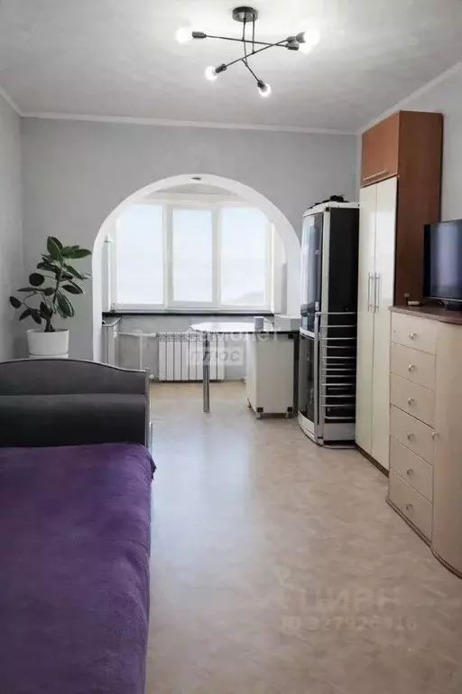Студия Амурская область, Благовещенск Заводская ул., 31 (21.7 м) - Фото 2